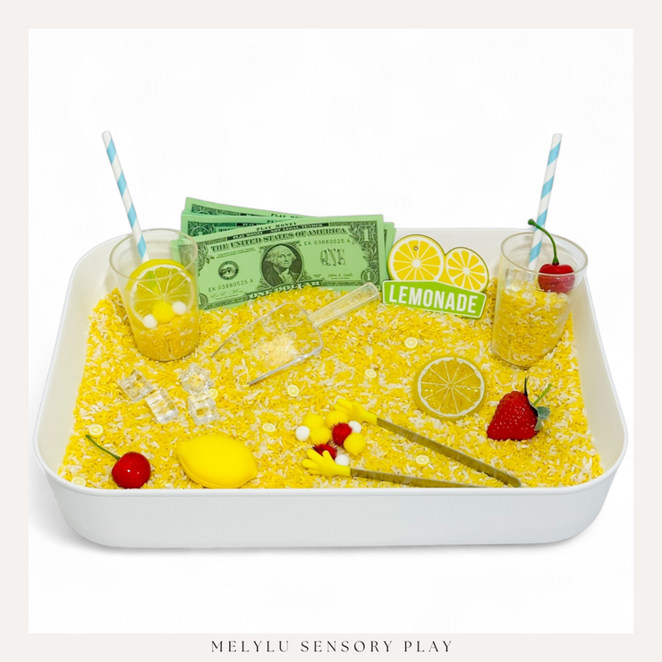 LEMONADE STAND Sensory Bin Kit