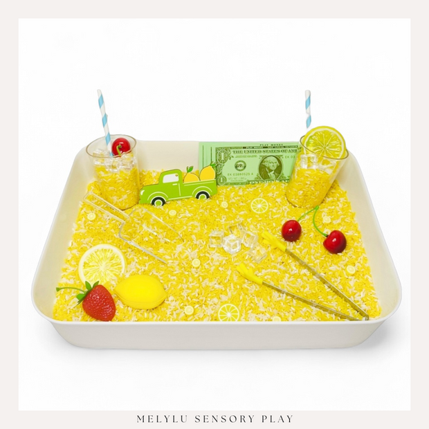 LEMONADE STAND Sensory Bin Kit