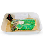 DINOSAUR Sensory Bin Kit