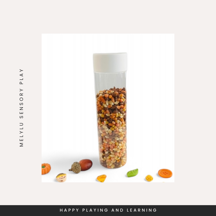 I-SPY SENSORY BOTTLE - AUTUMN EDITION