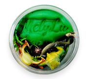 REPTILE Play Dough To-Go Jar