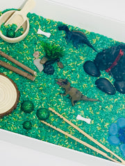 DINOSAUR Sensory Bin Kit