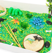 DINOSAUR Sensory Bin Kit