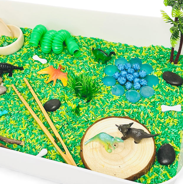 DINOSAUR Sensory Bin Kit