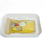 LEMONADE STAND Sensory Bin Kit